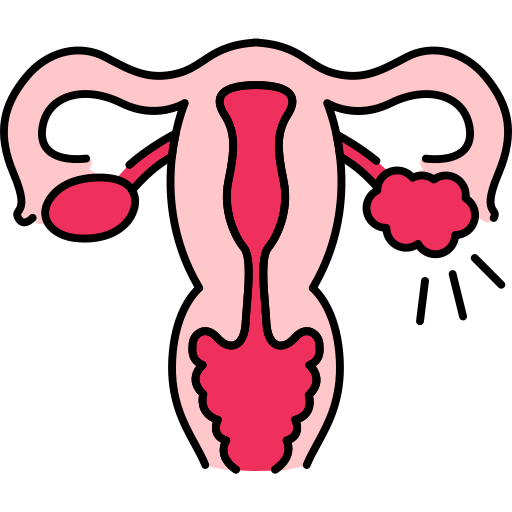 
Laparoscopic Procedures