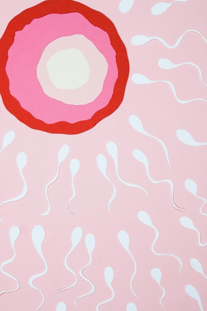 Tubal Ligation Reversal in Siliguri: Procedure, Eligibility, Risks & Cost Explained tubal ligaion reversal